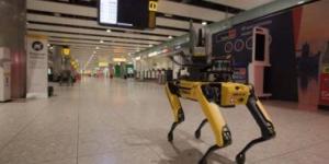 بالبلدي: مطار هيثرو بلندن يستخدم "كلبًا آليًا" لتحسين الكفاءة والسلامة