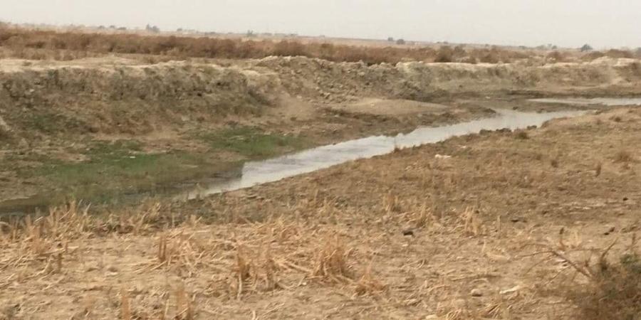 بالبلدي: العراق
      يعلن
      عن
      حملة
      كبرى
      لمكافحة
      التصحر
      في
      بغداد