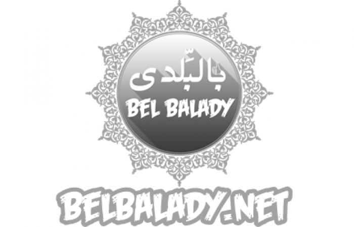 عطلة صيفية ولا فى الأحلام – غابة بويندي بأوغندا جو ساحر وطقس رائع بالصيف