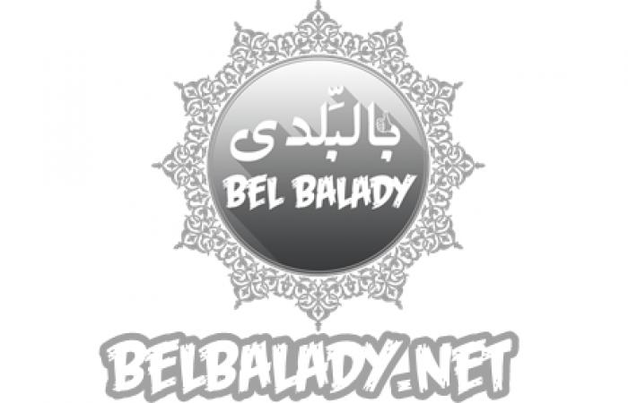 بالبلدي: رئيس مجلس النواب البحرينى: ليس بغريب عن مصر دعم العرب والقضية الفلسطينية belbalady.net