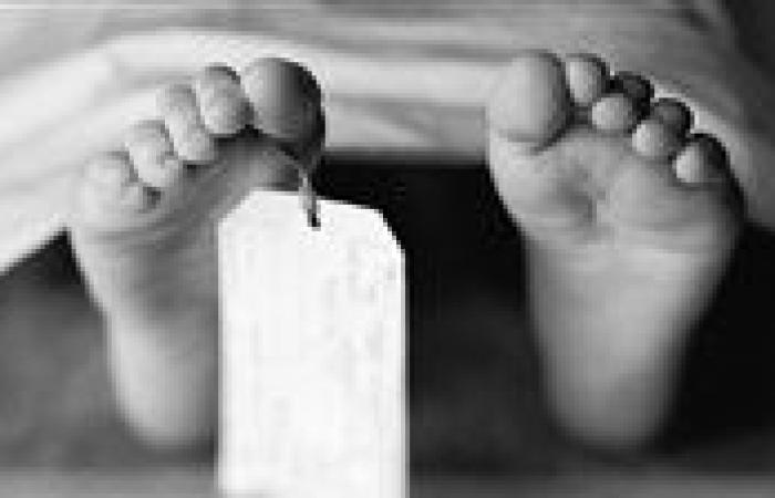 بالبلدي : مصرع
      صغير
      صدمته
      سيارة
      خلال
      لهوه
      أمام
      منزل
      أسرته
      ببني
      سويف