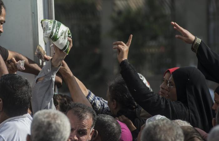 بالبلدي: مصر: تراجع أسعار السكر مع مخزون استراتيجي يكفي لعام