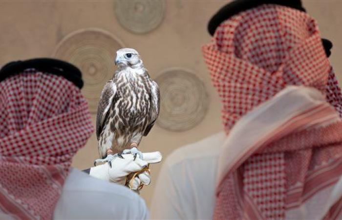 بالبلدي: المزاد
      الدولي
      لمزارع
      إنتاج
      الصقور
      2026
      ينطلق
      في
      الرياض
      بمشاركة
      مزارع
      عالمية
      وصفقات
      مرتقبة