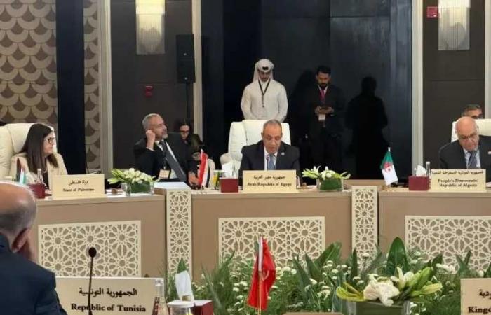 وزير
      الخارجية
      يؤكد
      رفض
      مصر
      القاطع
      لتهجير
      الفلسطينيين
      أو
      الضم
      أو
      المساس
      بالوضع
      القائم
      في
      القدس
      الشرقية