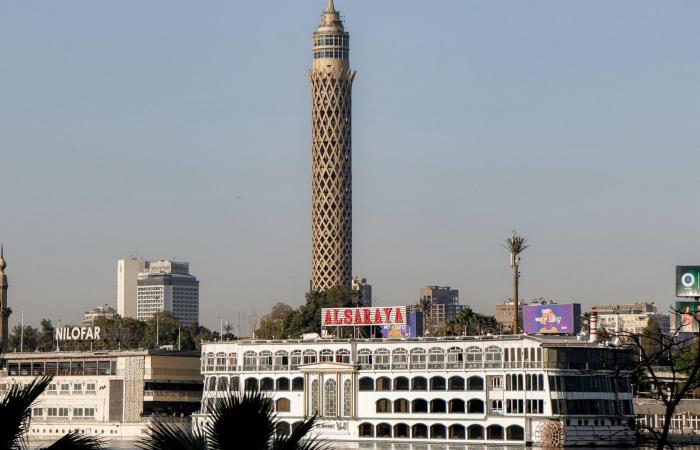 بالبلدي: بعد أزمة ضياء العوضي.. مصر تلغي فعالية طبية للأسترالية باربرا أونيل