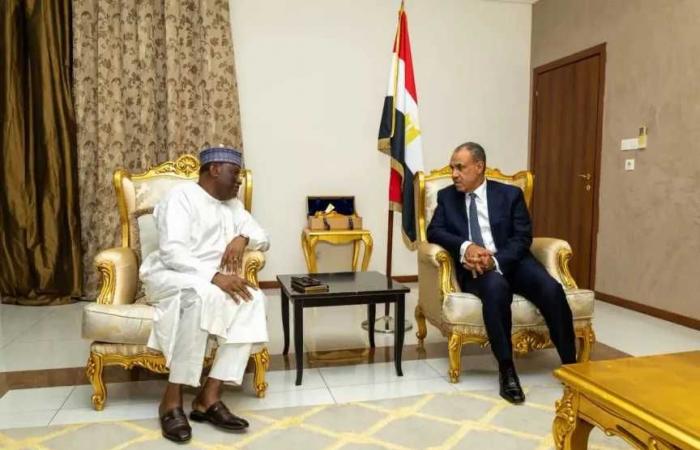 وزير
      الخارجية
      يلتقي
      السكرتير
      التنفيذي
      لتجمع
      دول
      الساحل
      والصحراء