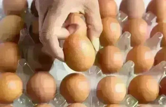 سعر
      كرتونة
      البيض
      في
      بورصة
      الدواجن
      وللمستهلك
      اليوم
      الخميس
      6
      أغسطس
      2026