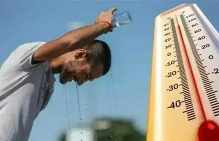 حالة
      الطقس
      اليوم
      الخميس..
      الأرصاد
      تحذر
      من
      4
      ظواهر
      تضرب
      البلاد