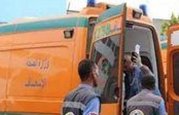 بالبلدي : إصابة
      11
      شخصًا
      في
      تصادم
      سيارتين
      بطريق
      محور
      30
      يونيو
      بالسويس