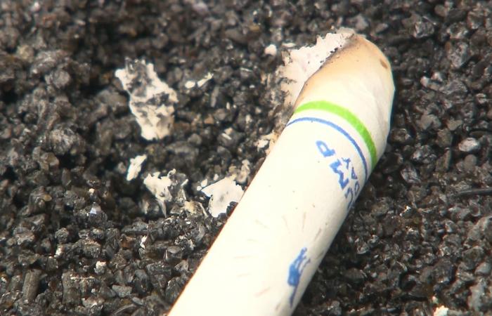 بالبلدي: سرطان الرئة يقتل أكثر من 100 ألف شخص سنويًا.. إليك ما يجب معرفته