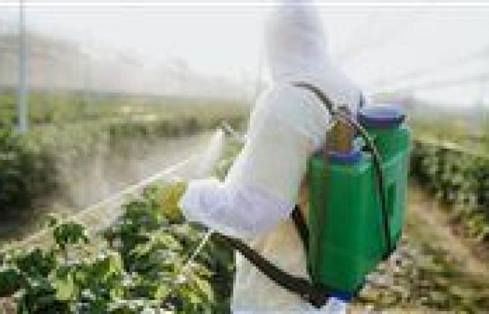 بالبلدي: ما
      علاقة
      التصلب
      الجانبي
      الضموري
      بالمبيدات
      الحشرية؟