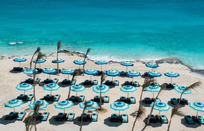 بالبلدي : “LMD”
      تطلق
      أول
      Resort
      Club
      لـ”ميسوني”
      في
      مصر
      وأفريقيا
      بـ”زويا
      غزالة
      باي”