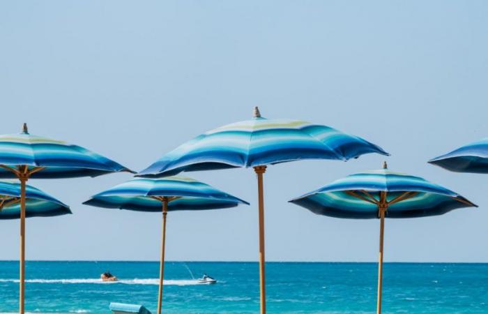 بالبلدي : “LMD”
      تطلق
      أول
      Resort
      Club
      لـ”ميسوني”
      في
      مصر
      وأفريقيا
      بـ”زويا
      غزالة
      باي”
