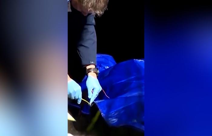 بالبلدي: اعتقدوا أنها بقايا بشرية.. إيقاف التحقيق في جريمة قتل بعدما تبيّن أن "الجثة" دمية