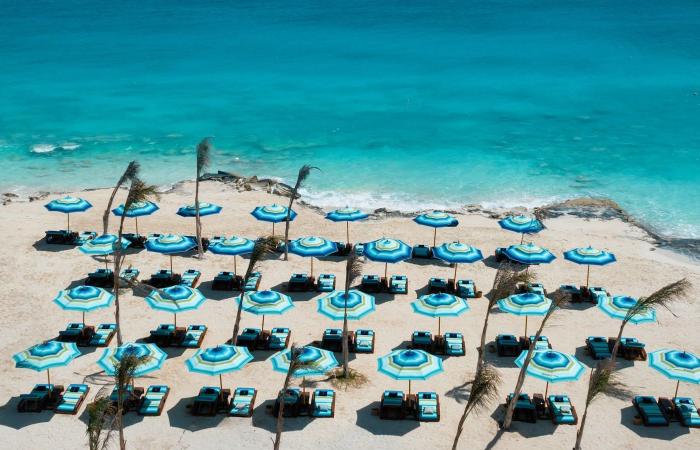 بالبلدي : “LMD”
      تطلق
      أول
      Resort
      Club
      لـ”ميسوني”
      في
      مصر
      وأفريقيا
      بـ”زويا
      غزالة
      باي”