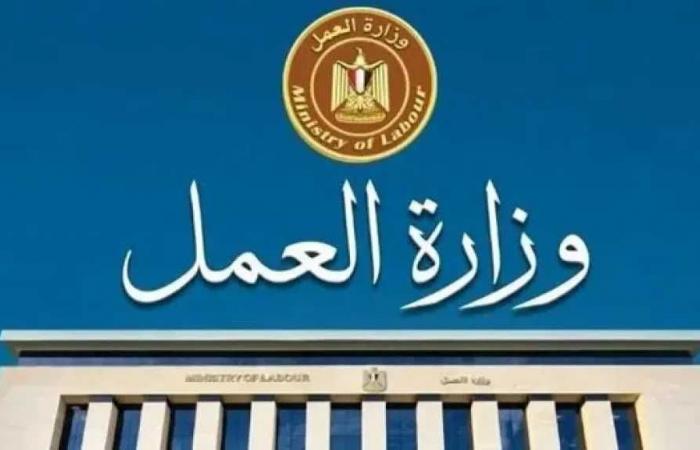 برواتب
      تصل
      لـ20
      ألف
      جنيه..
      «العمل»
      تعلن
      عن
      فرص
      عمل
      للخريجين