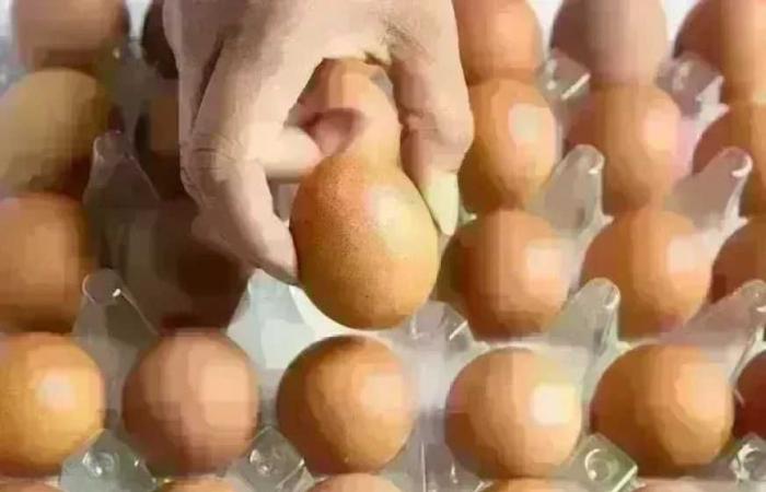 سعر
      كرتونة
      البيض
      في
      بورصة
      الدواجن
      وللمستهلك
      اليوم
      الثلاثاء
      11
      أغسطس
      2026