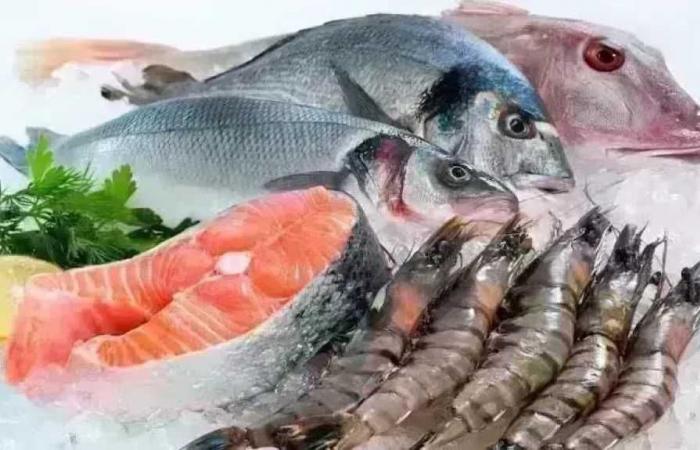 أسعار
      الأسماك
      اليوم
      الثلاثاء
      11
      أغسطس
      2026..
      الجمبري
      بكام