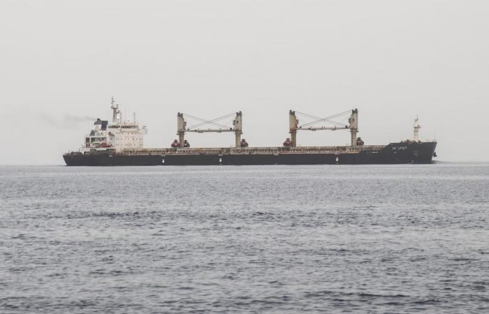 بالبلدي: باكستان تُعلن مقتل 3 من مواطنيها بهجوم حوثي على سفينة تجارية في البحر الأحمر