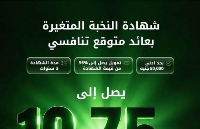 بالبلدي : بنك
      بيت
      التمويل
      الكويتي
      –
      مصر
      يرفع
      العائد
      على
      شهادة
      النخبة
      المتغيرة
      إلى
      19.75%