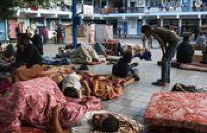 بالبلدي: صحة
      غزة:
      شهيد
      و7
      جرحى
      وصلوا
      مستشفيات
      القطاع
      خلال
      الـ24
      ساعة
      الماضية
