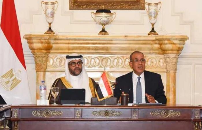 وزير
      الخارجية
      يبحث
      مع
      ممثلي
      القطاع
      الخاص
      دعم
      توسع
      الشركات
      المصرية
      في
      أفريقيا