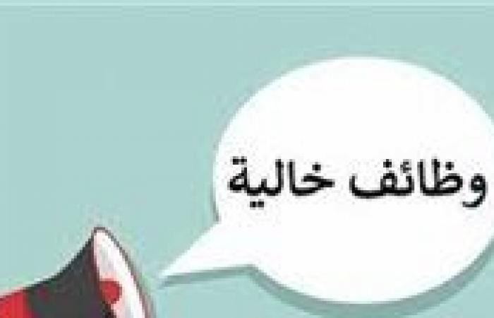 بالبلدي: وظائف
      جديدة
      برواتب
      20
      ألف
      جنيه
      شهريًا..
      شروط
      التقديم
      والمؤهلات
      المطلوبة