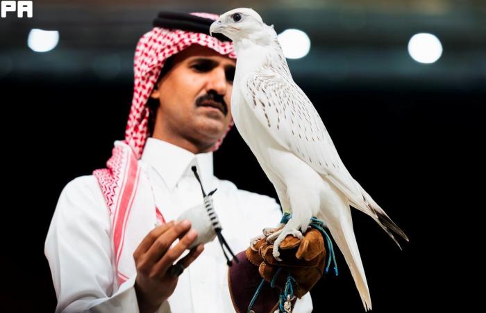 بالبلدي: مزاد سعودي يبيع ثاني أغلى صقر في تاريخه مقابل 1.3 مليون ريال