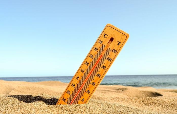 بالبلدي : ما الحد الأقصى للرطوبة والحرارة الذي يتحمله الإنسان؟