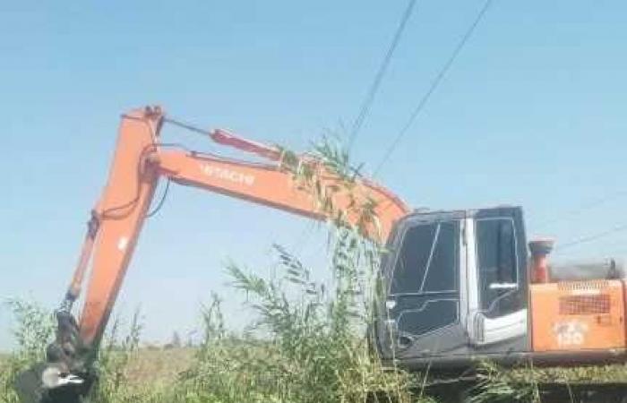 الزراعة:
      تستعرض
      جهود
      قطاع
      استصلاح
      الأراضي
      في
      النصف
      الأول
      من
      أغسطس:
      إزالات
      للتعديات
      وندوات
      ارشادية
      وتطهير
      المساقي