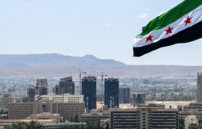 بالبلدي: سوريا.. الحكم على وسيم الأسد بالإعدام بعد تجريمه بـ"القتل العمد"