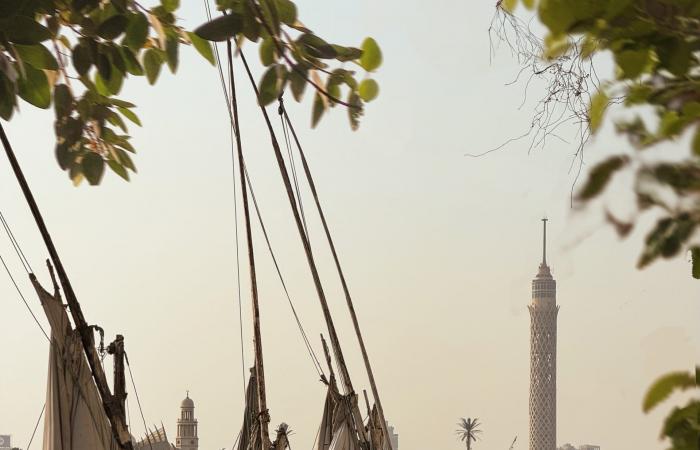 بالبلدي: خلف نوافذ القاهرة وشوارعها.. مصوّر مصري يوثّق مدينة تتغيّر ملامحها