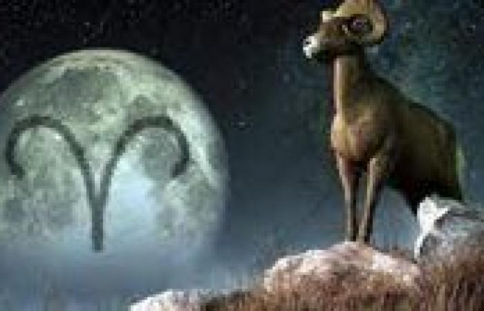 بالبلدي: برج
      الجدي
      الخميس..
      حظك
      اليوم:
      الإنجاز
      المنظم
      يمنحك
      حقًا
      مشروعًا
      في
      الراحة