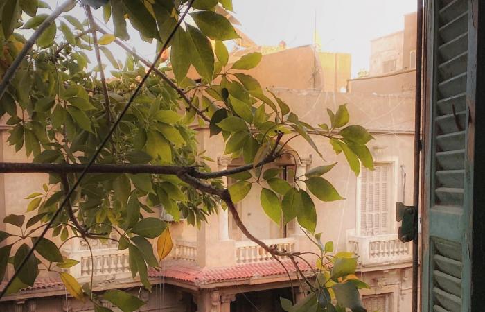 بالبلدي: خلف نوافذ القاهرة وشوارعها.. مصوّر مصري يوثّق مدينة تتغيّر ملامحها