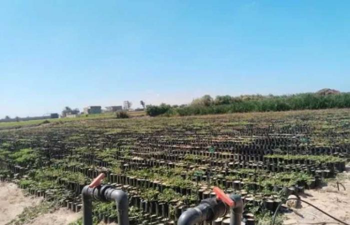 من
      مياه
      الصرف
      إلى
      حقول
      سيناء..
      «بحر
      البقر»
      يروى
      مشروعات
      الاستصلاح
      ويغيّر
      خريطة
      الزراعة