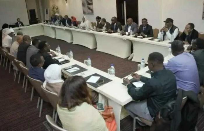 قوى
      سودانية
      مناهضة
      للحرب
      تناقش
      دعوة
      البرهان
      للحوار
      في
      اجتماع
      بإثيوبيا