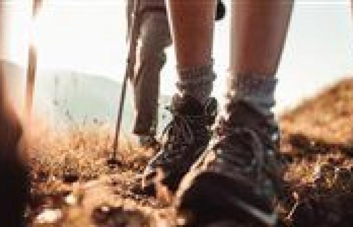 بالبلدي: كيف
      يكون
      استخدام
      الدراجة
      الهوائية
      أفضل
      من
      الجري
      والمشي؟