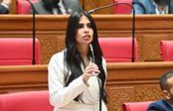 بالبلدي: سؤال
      برلماني
      يكشف
      تداعيات
      التوجيهات
      الحكومية
      الأخيرة
      بزيادة
      أعداد
      الطلاب
      الوافدين
      بالجامعات
      المصرية