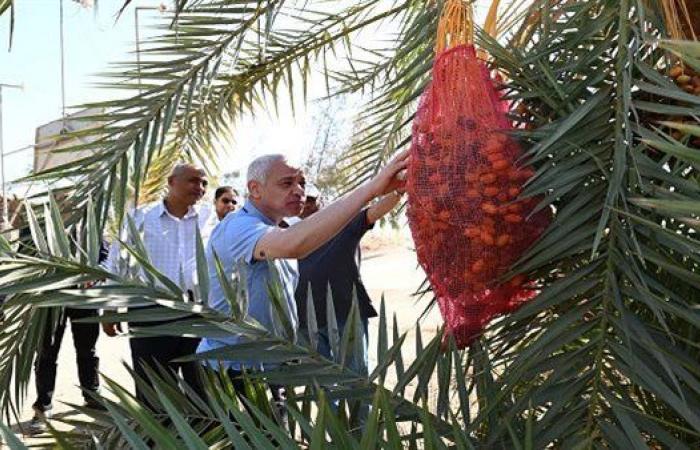 بالبلدي: جامعة
      أسيوط
      تكشف
      خطة
      جديدة
      لتطوير
      المزارع
      وزيادة
      الإنتاج
      الزراعي