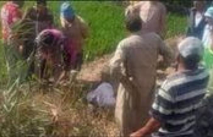بالبلدي: مصرع
      مزارع
      التهمته
      ماكينة
      ري
      أرض
      زراعية
      بقنا