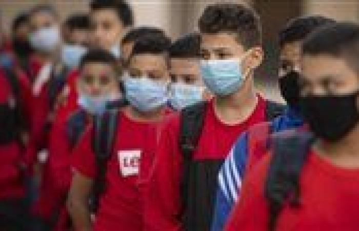 بالبلدي : حقيقة
      وجود
      أعمال
      سنة
      في
      الشهادة
      الإعدادية
      والثانوية
      العامة