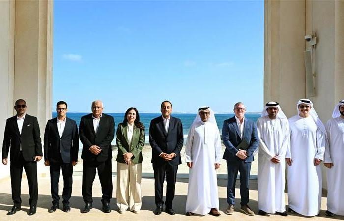 بالبلدي : «رأس
      الحكمة»
      تدخل
      مرحلة
      التنفيذ
      بقوة..
      انتهاء
      100%
      من
      مرافق
      مناطق
      «شمس
      الحكمة»
      العاجلة
      استعدادًا
      للتنمية
      والاستثمار