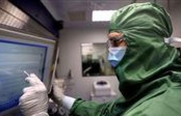 بالبلدي: خبير
      عالمي:
      تطورات
      الذكاء
      الاصطناعي
      ستؤدي
      إلى
      التوصل
      لعلاج
      للسرطان