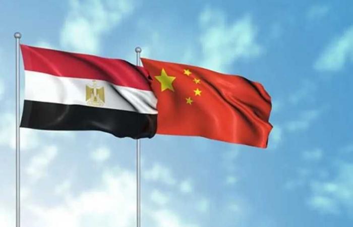الصين
      تتصدر
      واردات
      جمهورية مصر العربية
      من
      دول
      بريكس
      بـ10.4
      مليار
      دولار
      خلال
      6
      أشهر