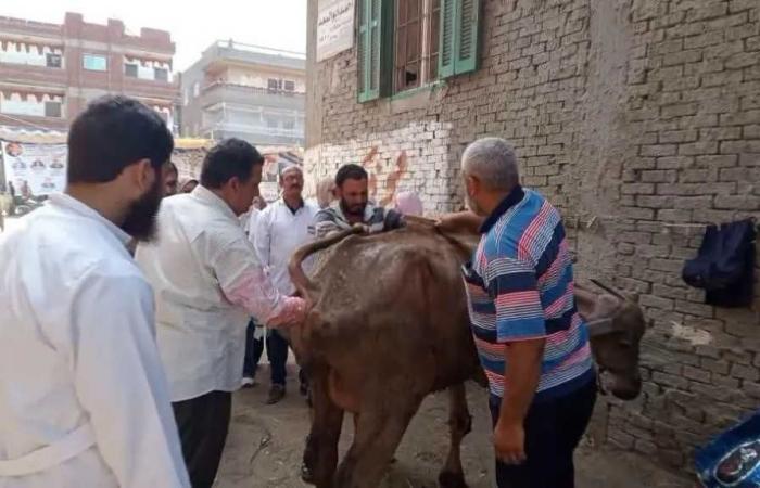 الزراعة:
      تقدم
      خدمات
      الرعاية
      التناسلية
      لأكثر
      من
      39
      ألف
      رأس
      ماشية
      والتلقيح
      الاصطناعي
      لنحو
      41
      ألف
      رأس
      خلال
      أغسطس