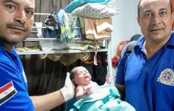 سيدة
      إندونيسية
      تضع
      طفلتها
      داخل
      سفارة
      بلادها
      بجاردن
      سيتي
      ورجال
      الإسعاف
      يتدخلون