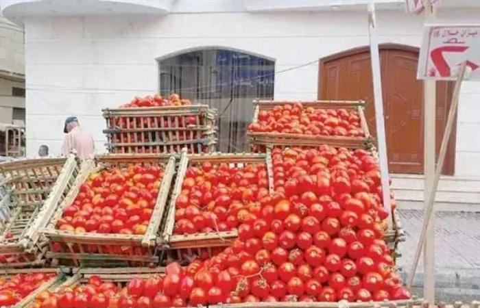 نقيب
      الفلاحين
      يحذر
      من
      الطماطم
      بـ10
      جنيهات..
      اعرف
      السبب
      قبل
      الشراء