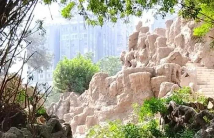 الزراعة
      تكشف
      حقيقة
      ما
      حدث
      بحديقة
      الأسماك
      بالزمالك..
      سقوط
      شجرة
      واحدة
      بسبب
      عوامل
      طبيعية