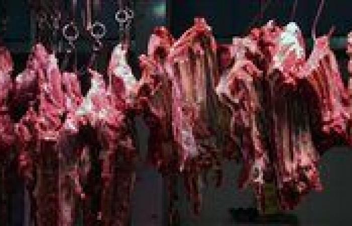 بالبلدي: أسعار
      اللحوم
      اليوم
      الأربعاء
      17
      -
      9
      -
      2026