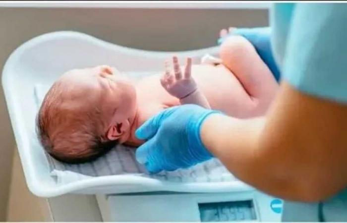 الصحة
      تحذر:
      انخفاض
      وزن
      المولود
      يزيد
      خطر
      التقزم
      واضطرابات
      النمو